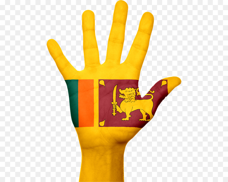 Drapeau Du Sri Lanka，Main PNG