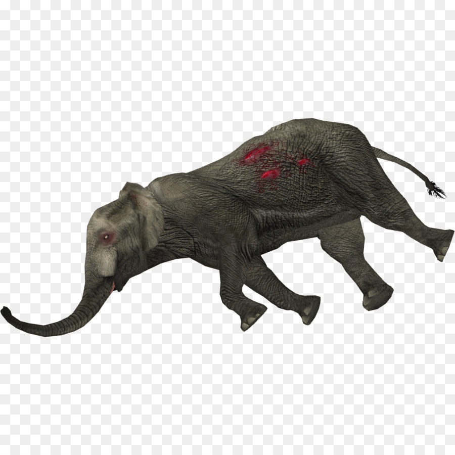 éléphant Indien，L éléphant D Afrique PNG