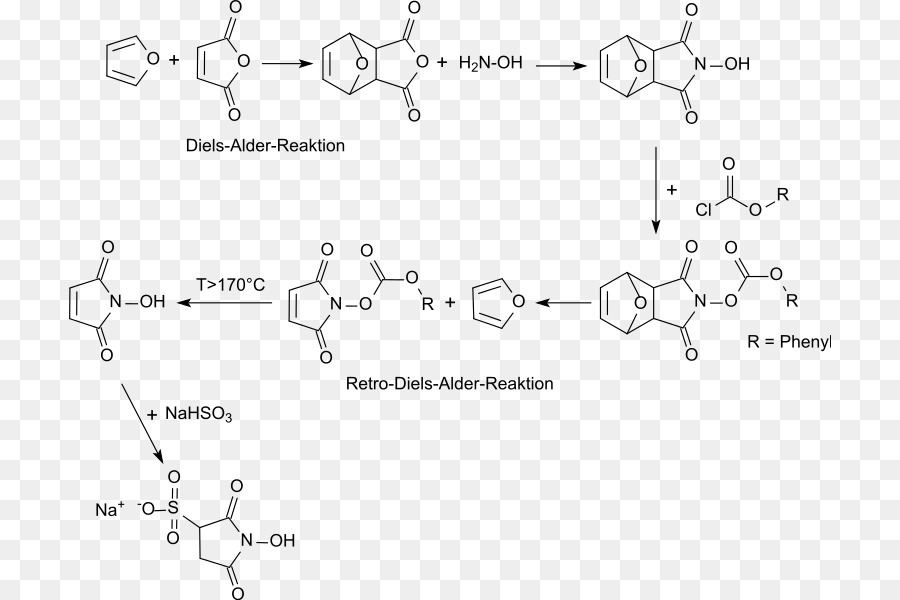 Nhydroxysulfosuccinimide Sel De Sodium，Nhydroxysuccinimide PNG