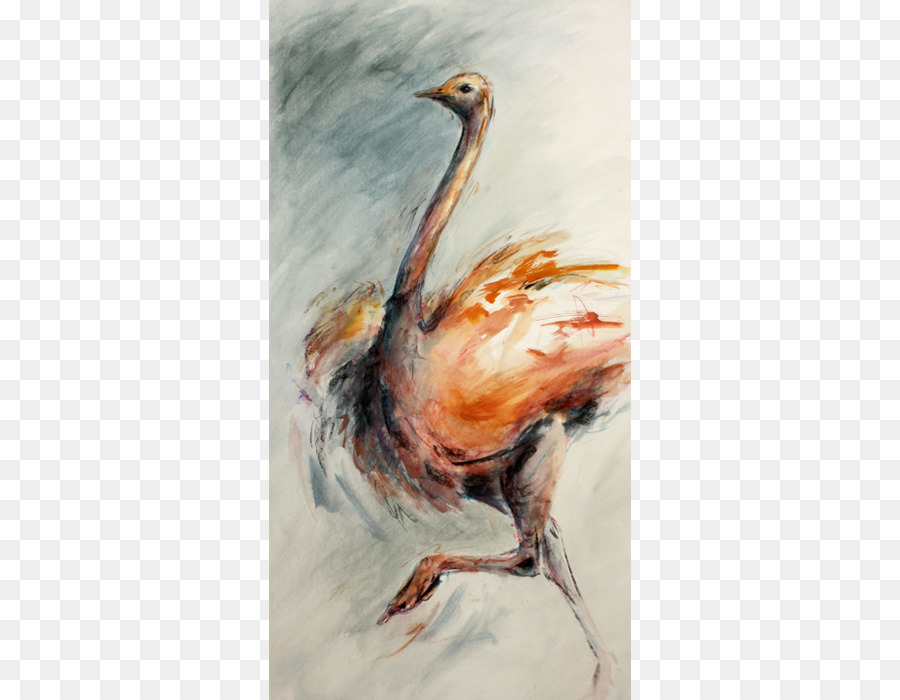 Poulet，Peinture PNG