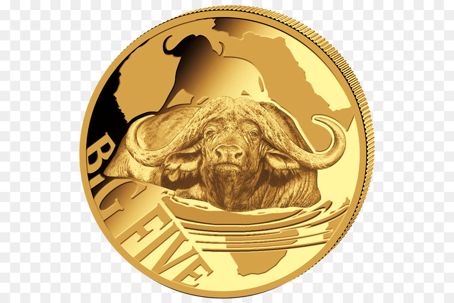 Pièce De Monnaie，Buffle PNG