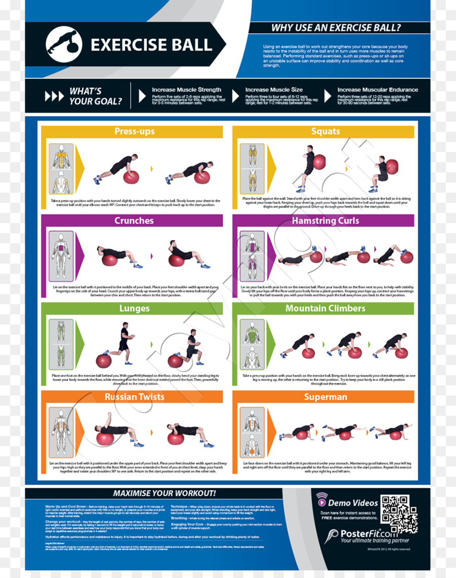 Core，Exercices Abdominaux PNG