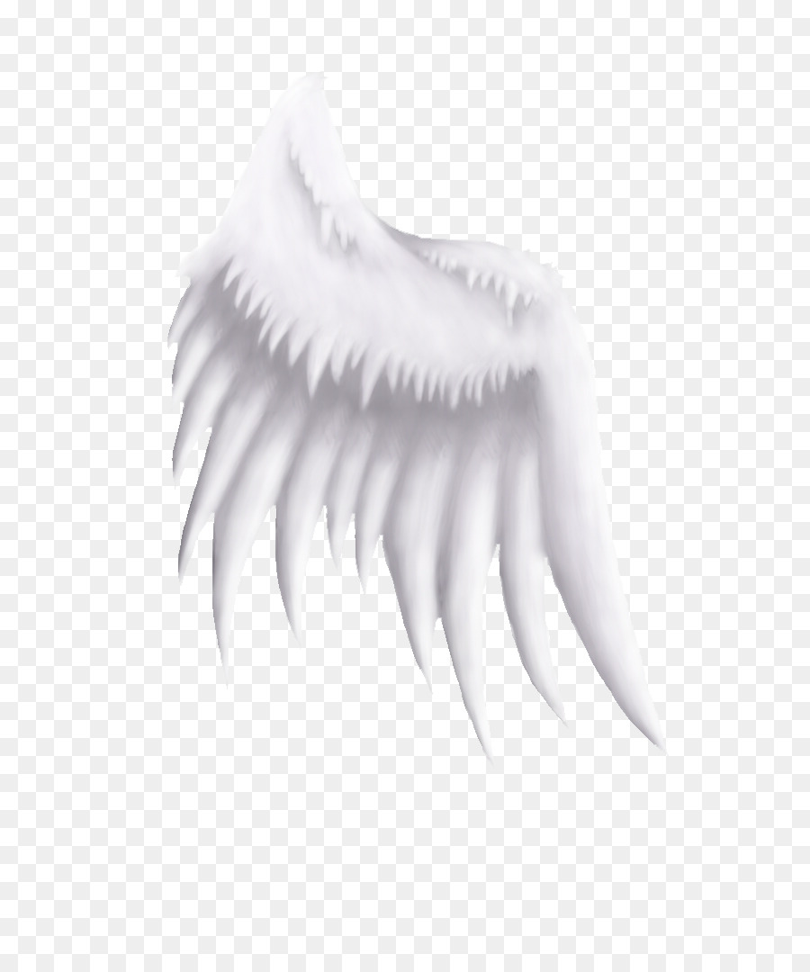 Cou，Blanc PNG