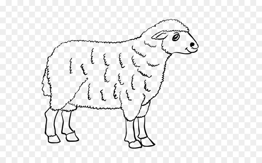 Agneau，Mouton PNG