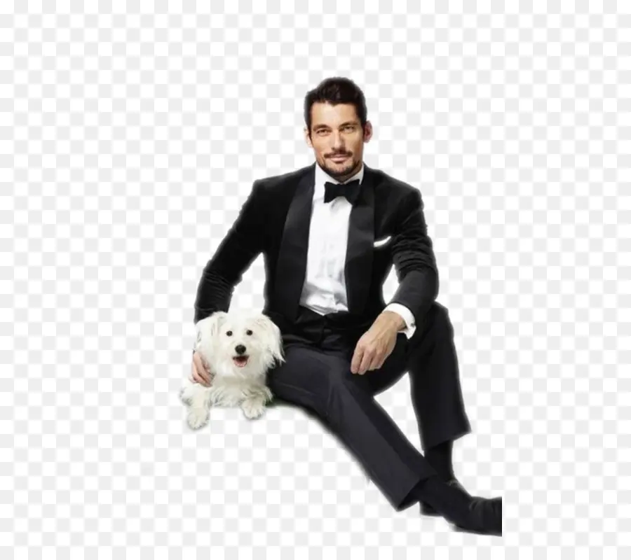 Homme Avec Chien，Animal De Compagnie PNG