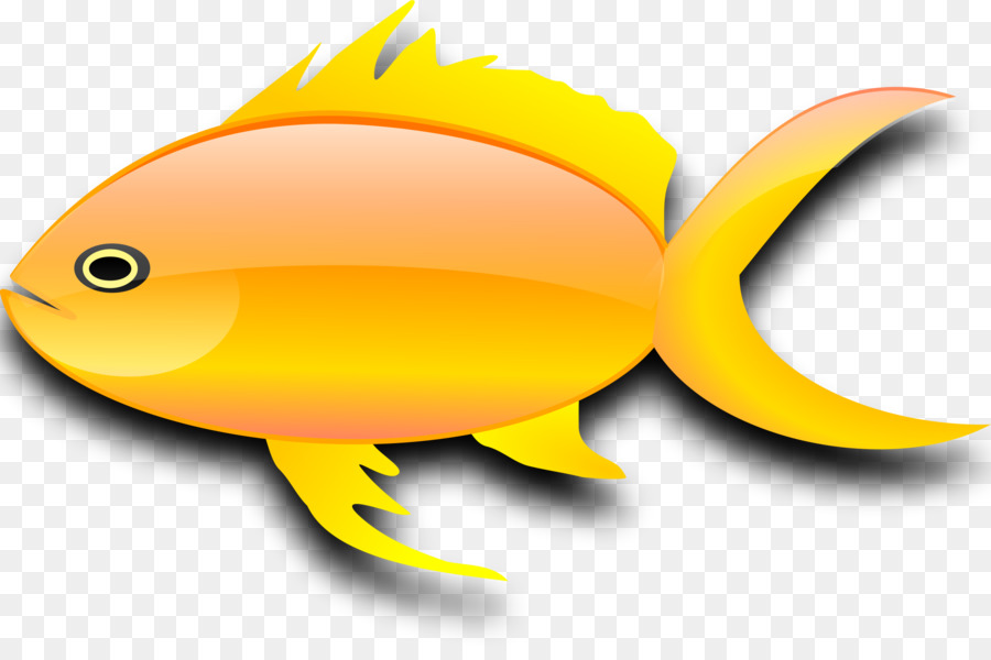 Poisson，Aquatique PNG