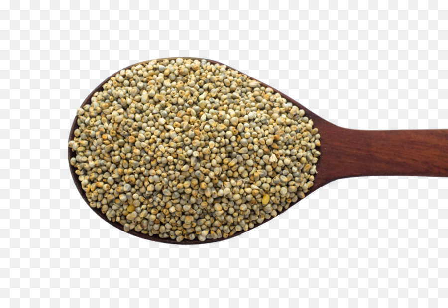 Millet，Grain PNG