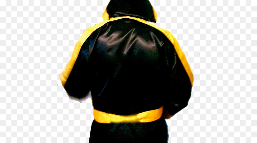 Robe De Boxe，Boxeur PNG