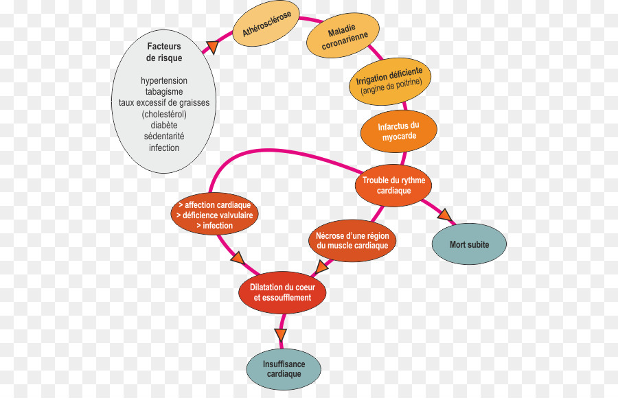 Les Maladies Cardiovasculaires，La Maladie PNG