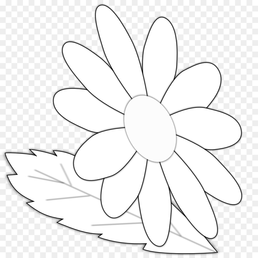 Marguerite，Blanc PNG