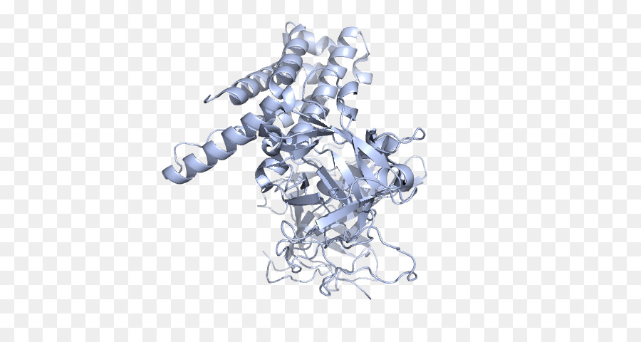 Structure Des Protéines，Molécule PNG