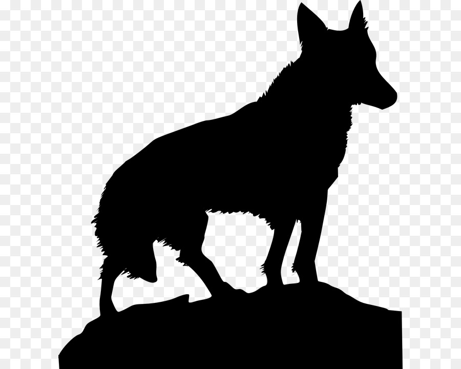 Loup，Silhouette PNG