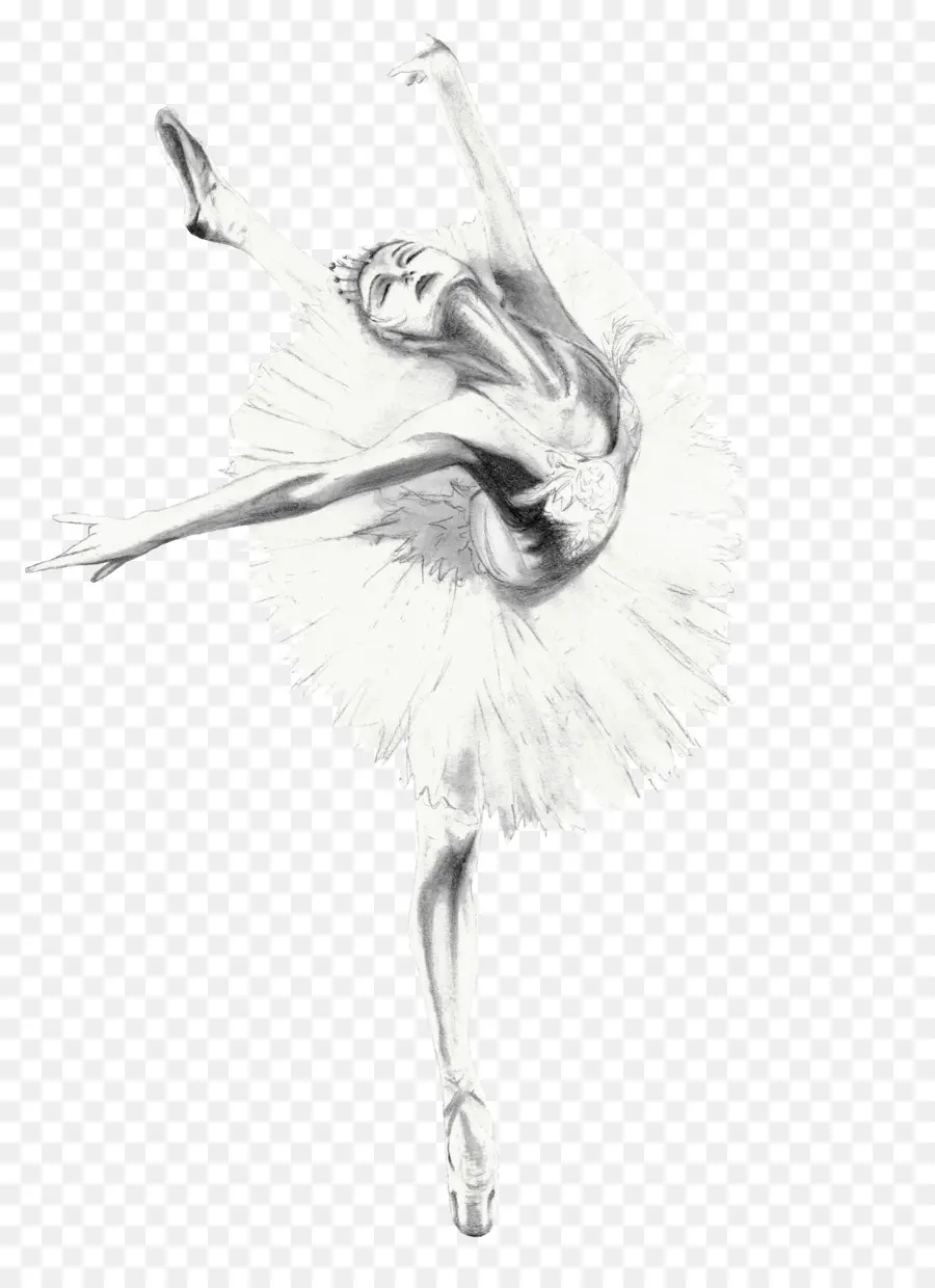 Danseuse De Ballet，Plume PNG