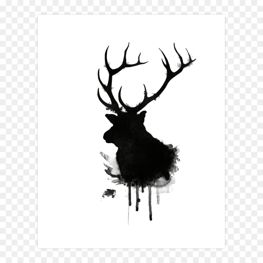 Elk，Cerf PNG