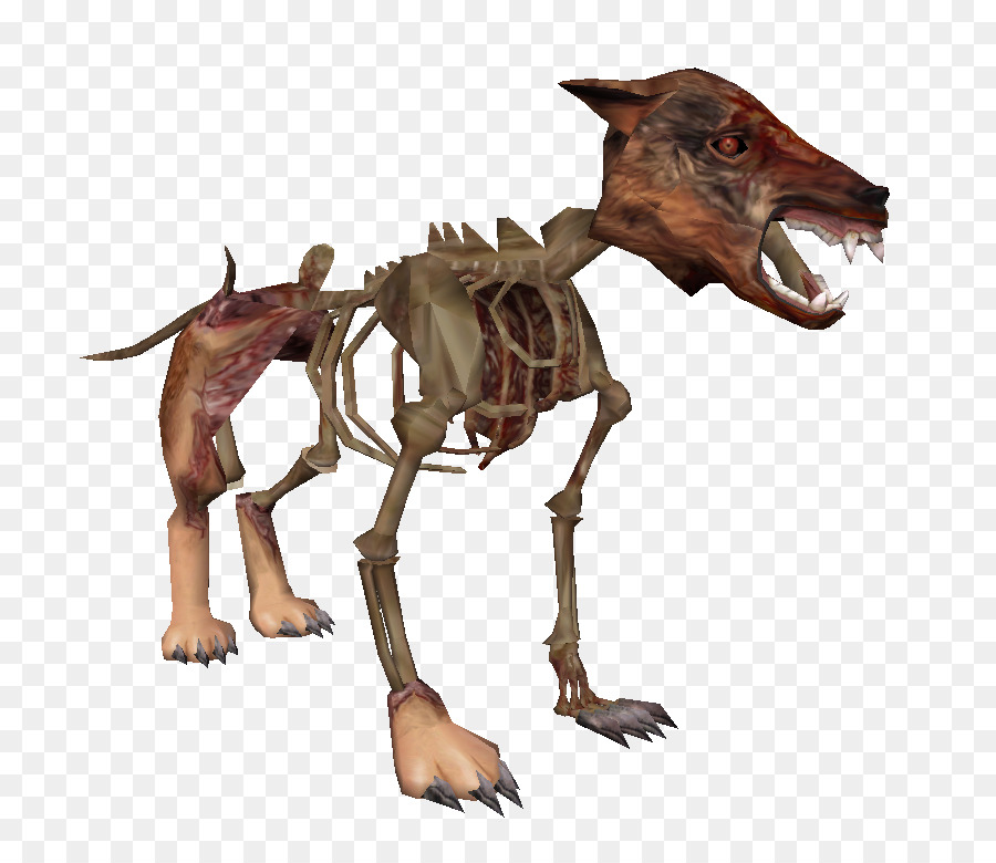 Le Tyrannosaure，Velociraptor PNG