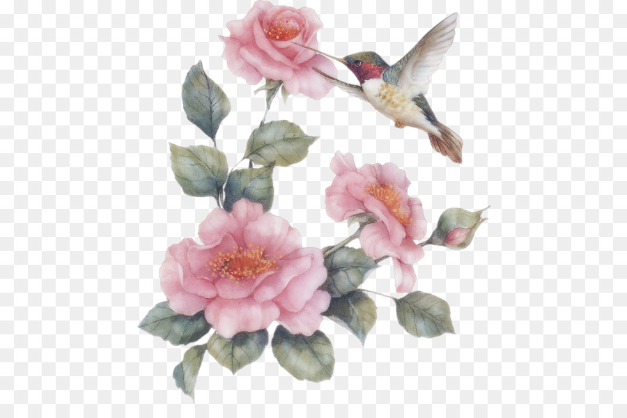 Fleurs Et Oiseaux，Fleurs PNG