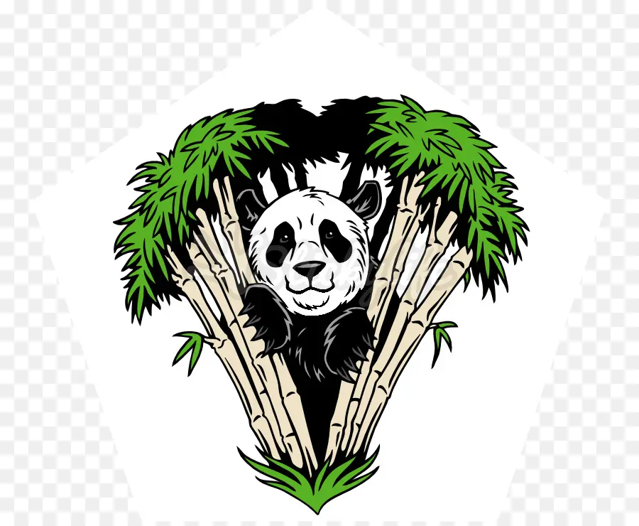 Illustration De Pandas，Panda PNG