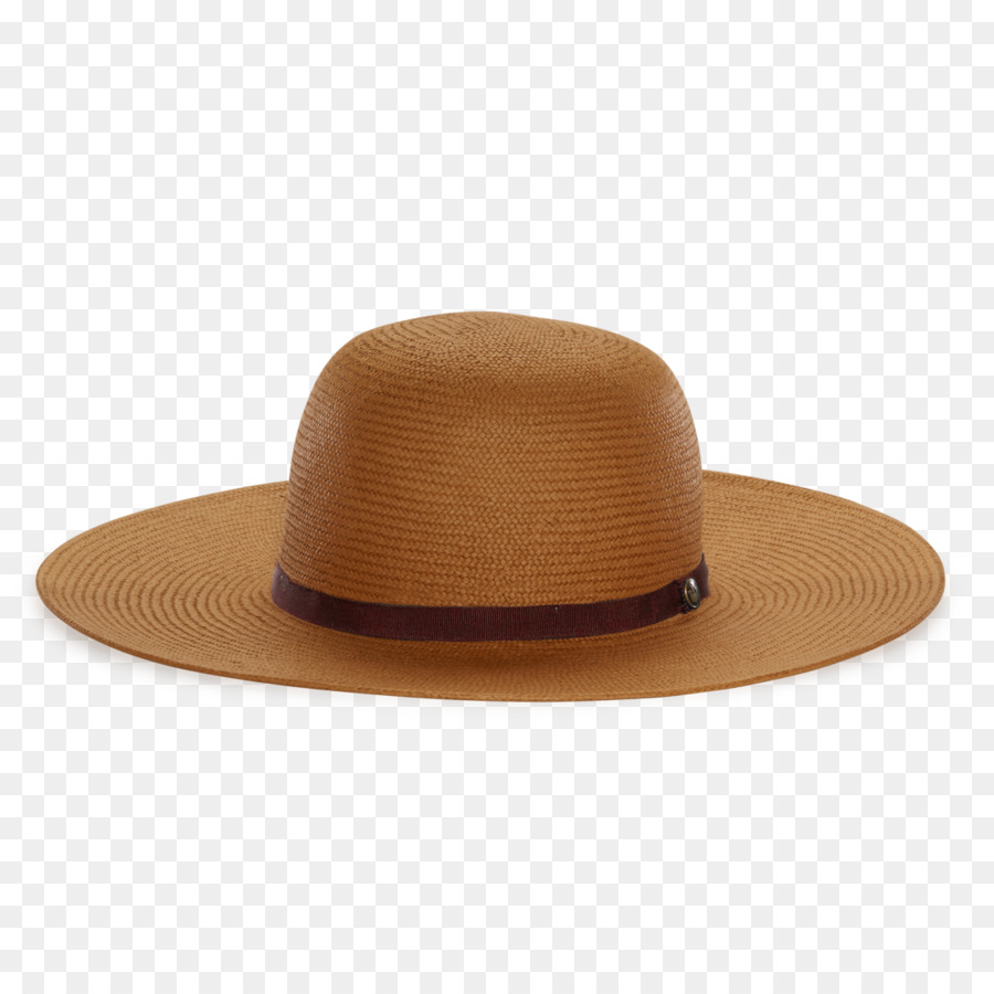 Chapeau，Chapeau Melon PNG