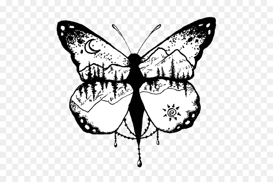 Papillon Noir Et Blanc，Ailes PNG