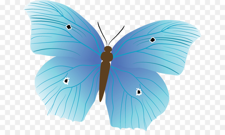 Papillon，Ailes PNG