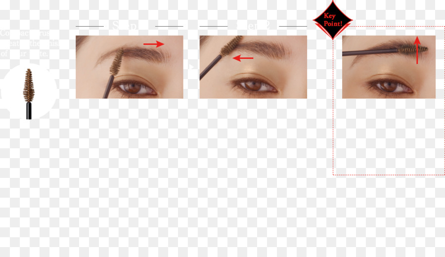 Extensions De Cils，L Ombre à Paupières PNG