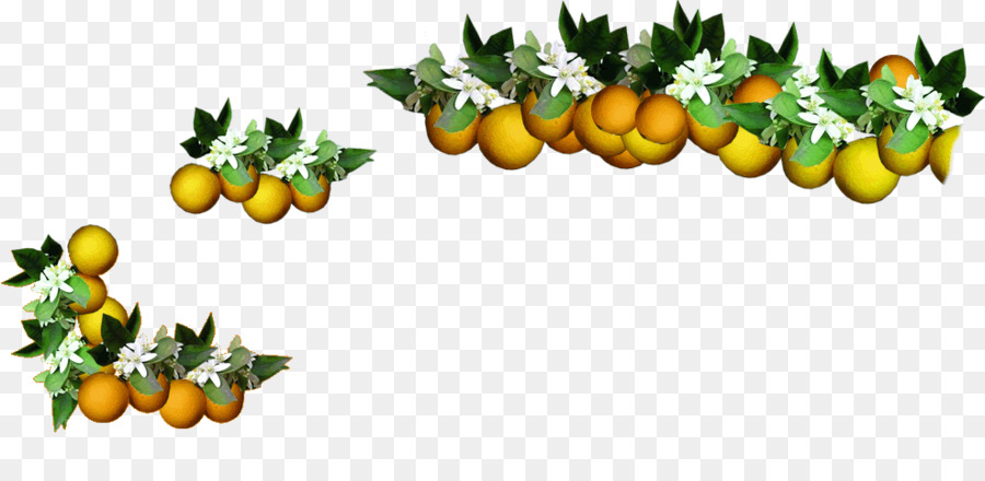 Orange，La Nourriture PNG