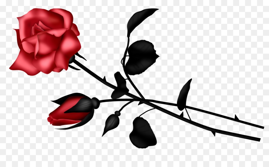 Les Roses De Jardin，Les Fleurs Coupées PNG