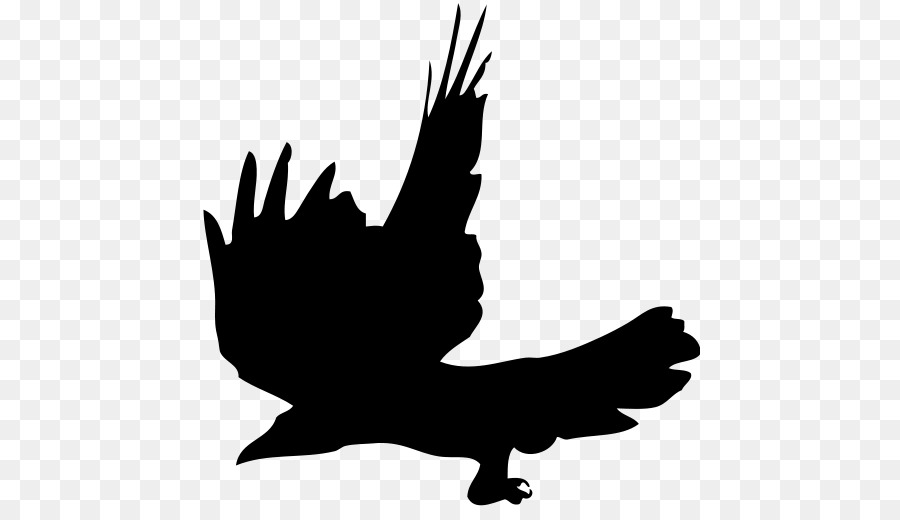 Crow，Silhouette PNG