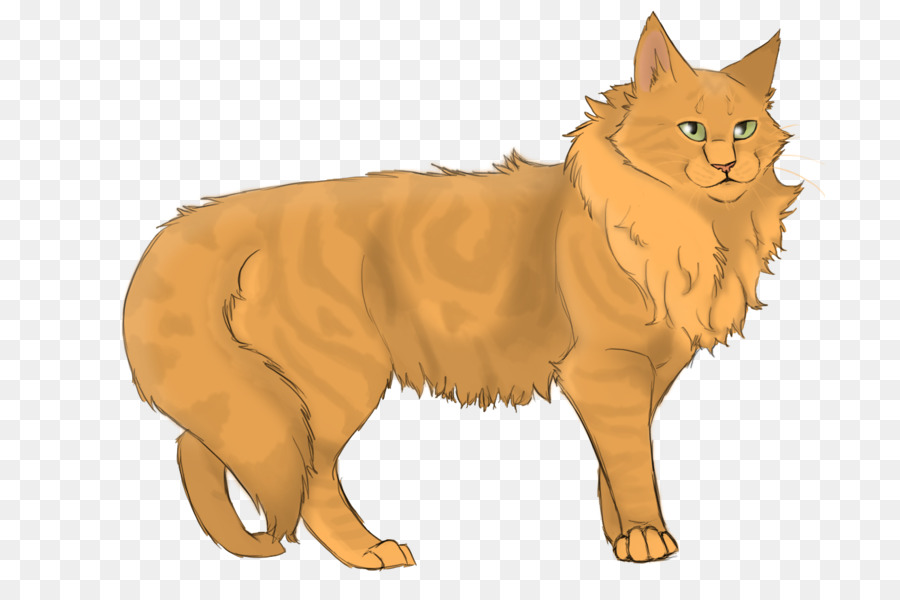 Chat，Animal De Compagnie PNG