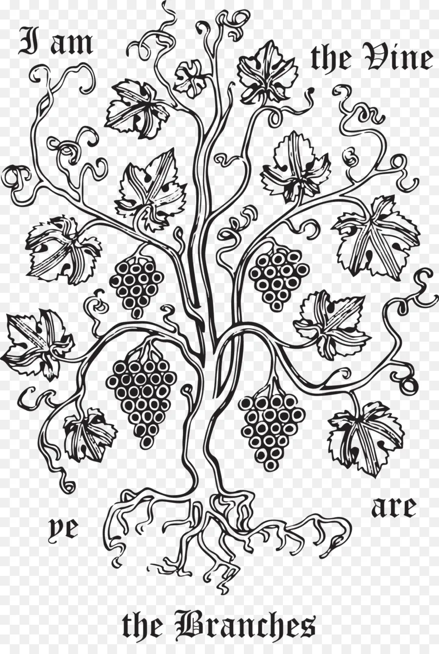 Illustration De La Vigne，Succursales PNG