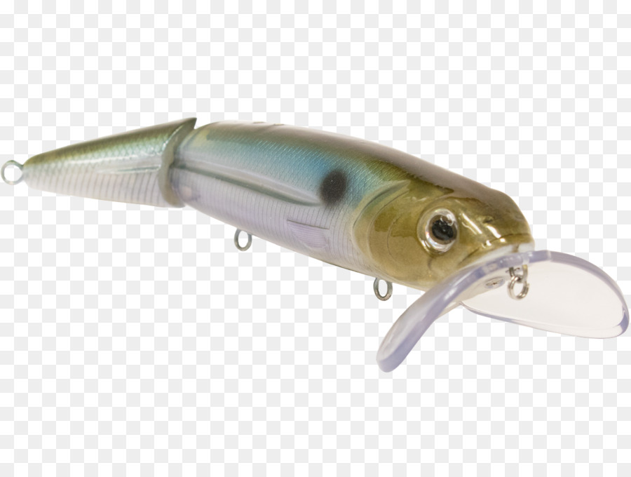 Leurre De Pêche，Appât PNG