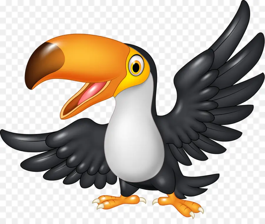 Dessin Animé，Toucan PNG