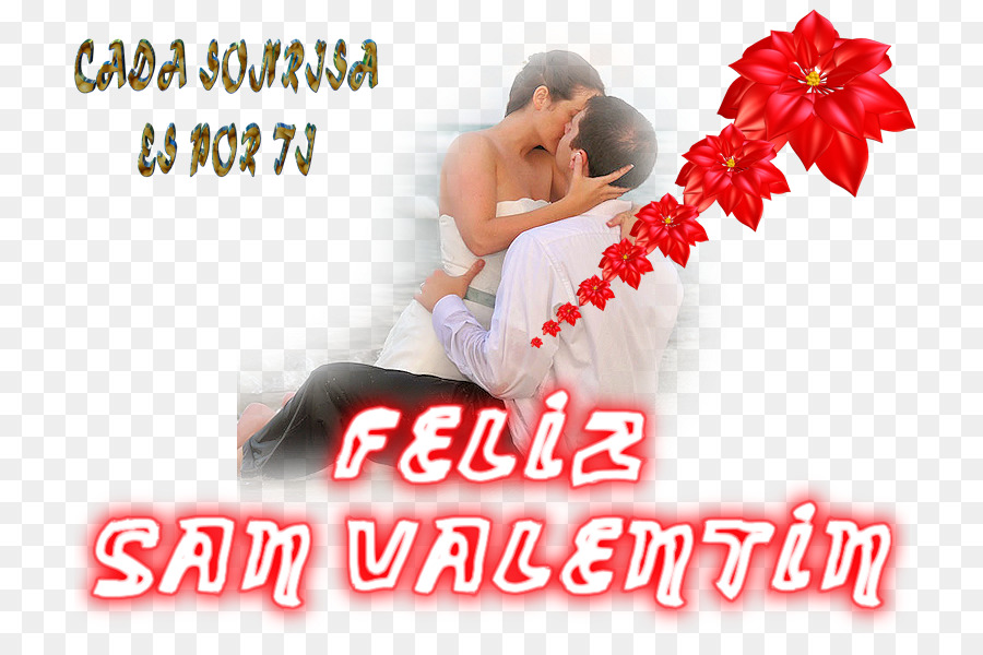 La Saint Valentin，L Amour PNG