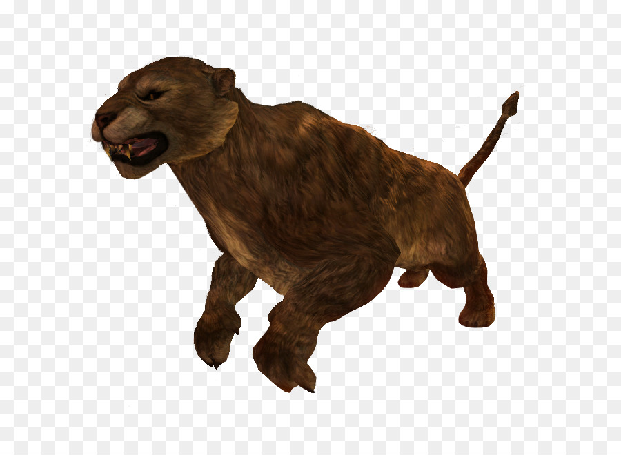 Lion，Enderal Les Tessons De Commande PNG