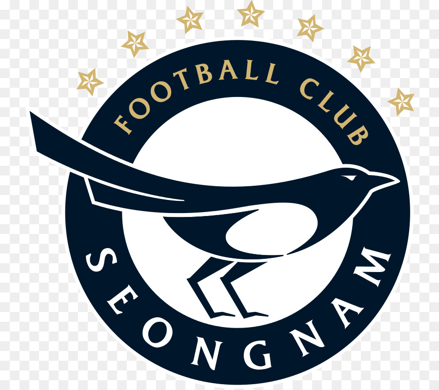 Logo Du Club De Football De Seongnam，Football PNG