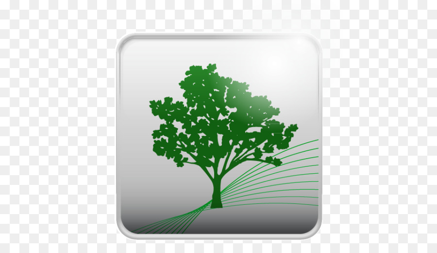 Arbre，Herbe PNG