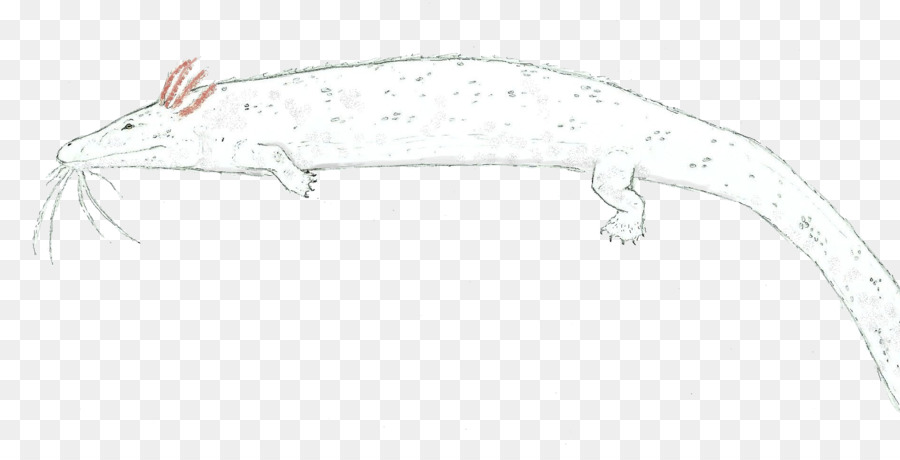 Lézard，L Art En Ligne PNG