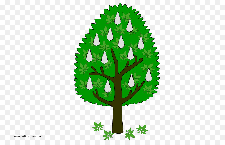 Arbre，Feuille PNG