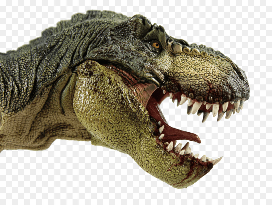 Tyrannosaure Rex，Préhistorique PNG