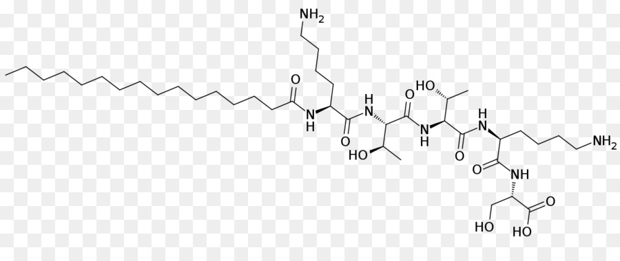 Palmitoyl Pentapeptide4，D Affaires PNG