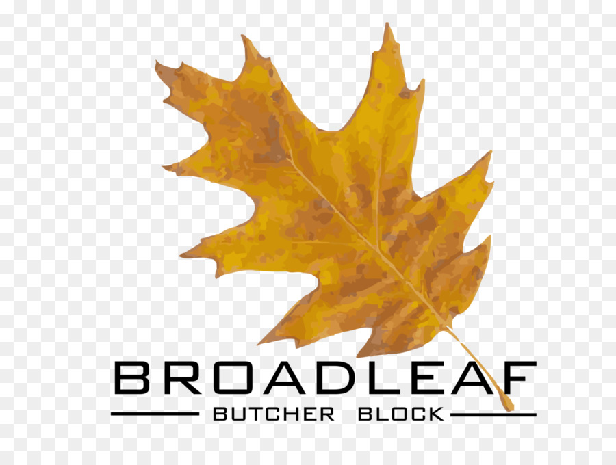 La Feuille D érable，Feuille PNG