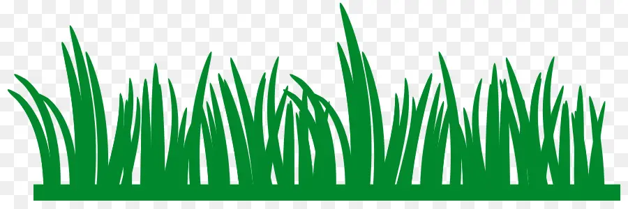 Herbe Verte，Pelouse PNG