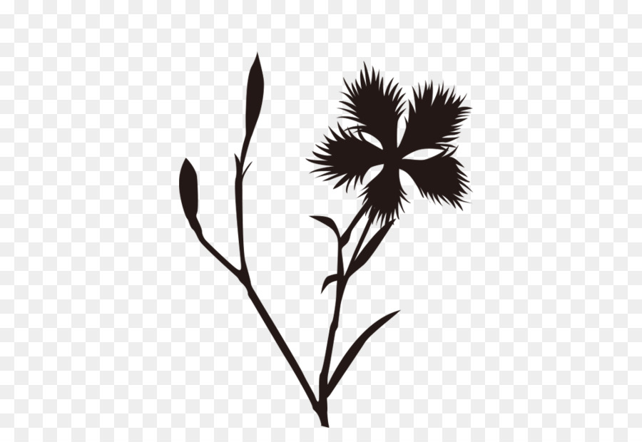 Pissenlit，Fleur PNG