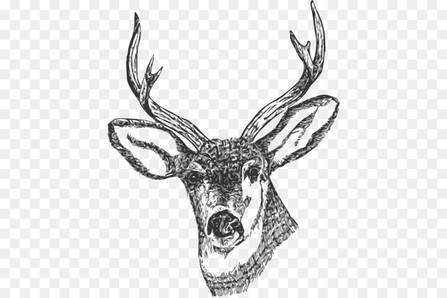 Tête De Cerf，Bois PNG