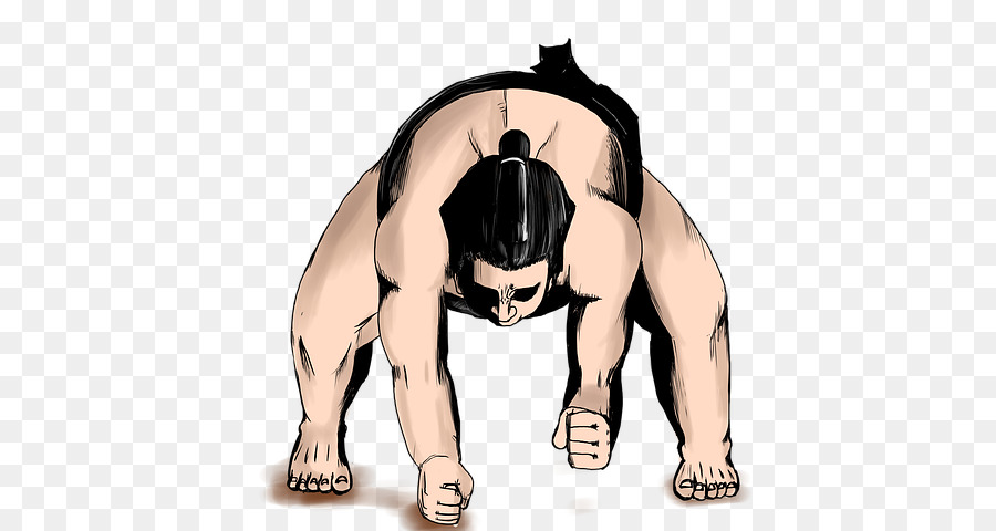 Ce Lieu，Sumo PNG