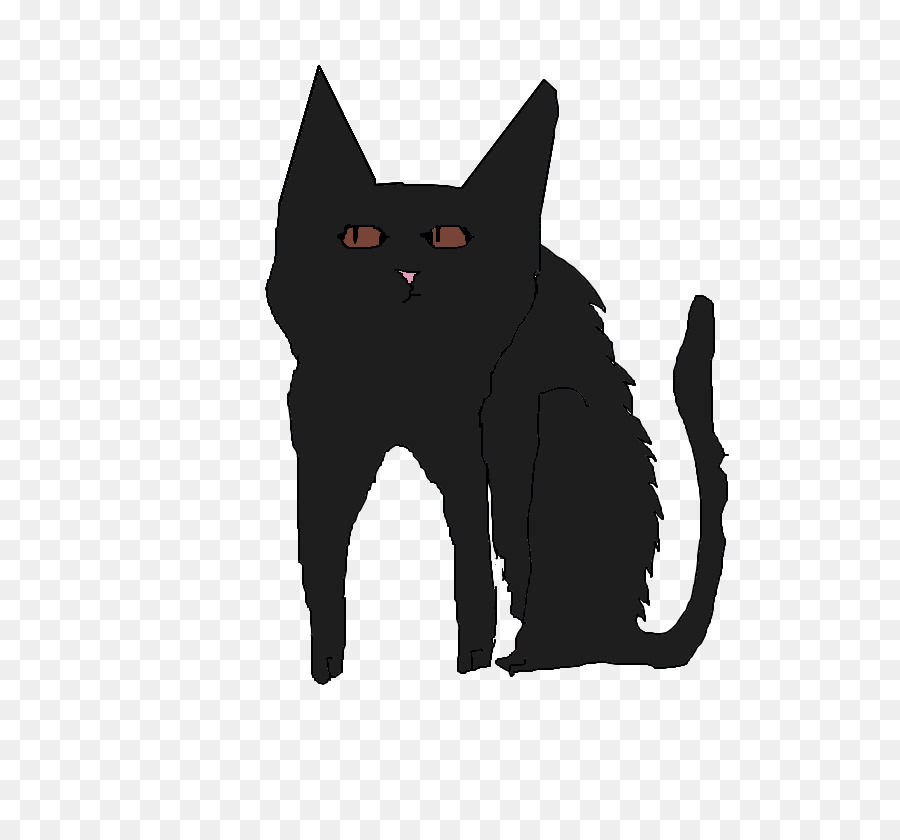 Chat，Noir PNG