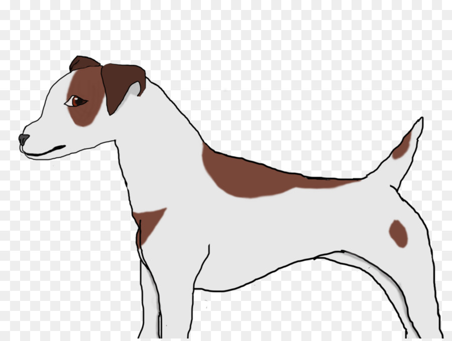 Race De Chien，Russell Terrier PNG