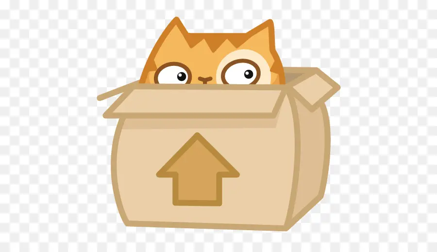 Chat Dans Une Boîte，Orange PNG