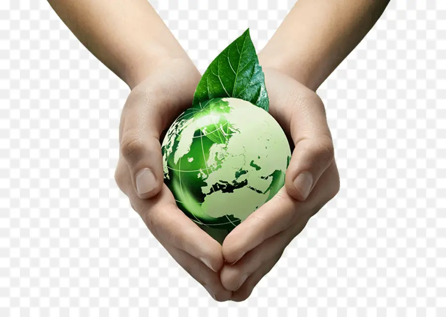 Respectueux De L Environnement，Recyclage PNG