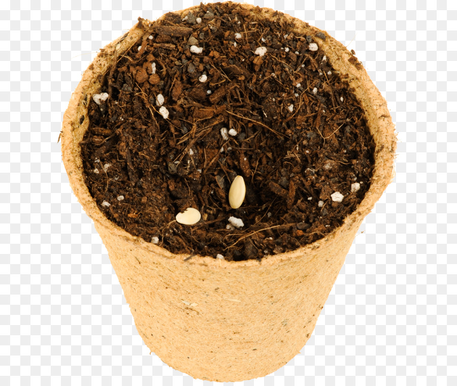 Sol，Flowerpot PNG